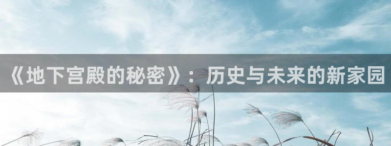 先锋娱乐团：《地下宫殿的秘密》：历史与未来的新家园