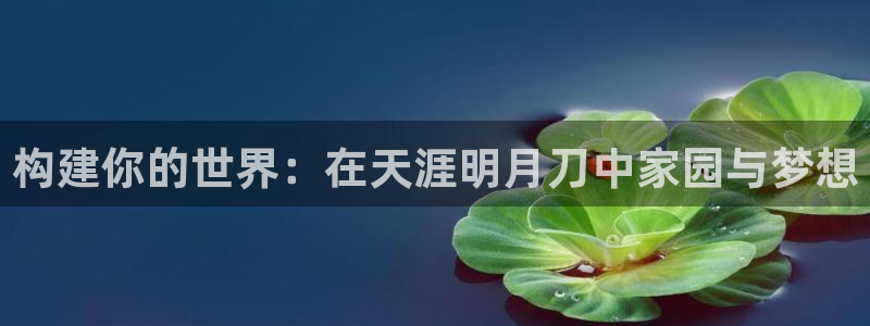 先锋娱乐平台：构建你的世界：在天涯明月刀中家园与梦想