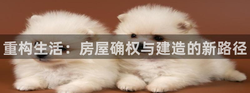 先锋娱乐管理集团招聘：重构生活：房屋确权与建造的新路径