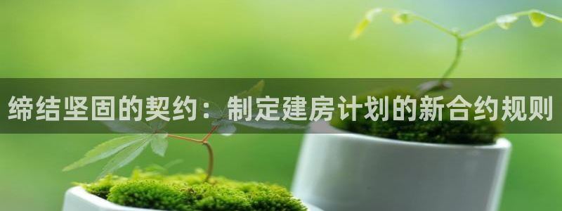 先锋娱乐集团公司：缔结坚固的契约：制定建房计划的新合约规则