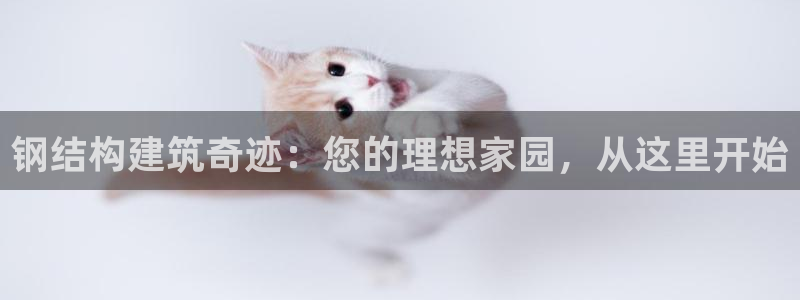 先锋娱乐公司：钢结构建筑奇迹：您的理想家园，从这里开始