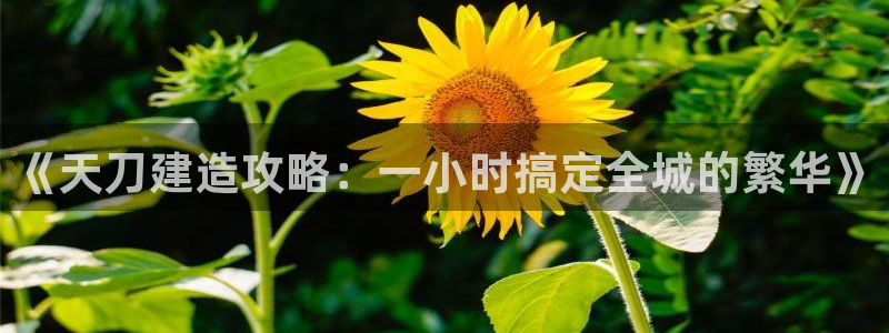 先锋娱乐属于违法吗