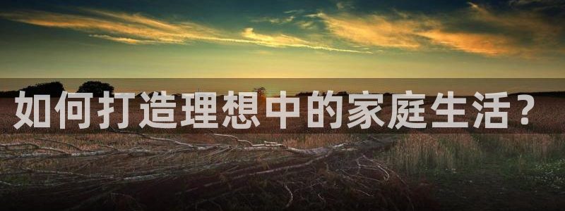 先锋娱乐简介图片