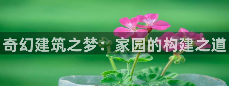 先锋娱乐大厅透视