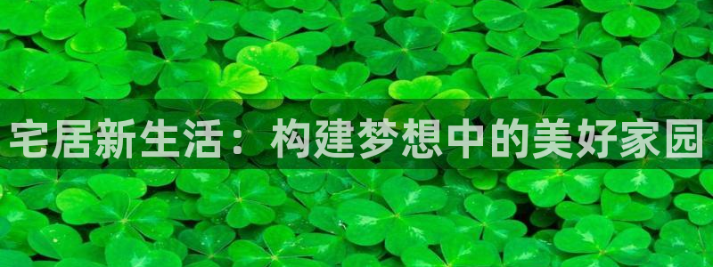 先锋娱乐赛：宅居新生活：构建梦想中的美好家园