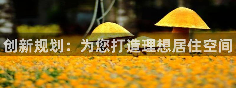 先锋娱乐场所：创新规划：为您打造理想居住空间