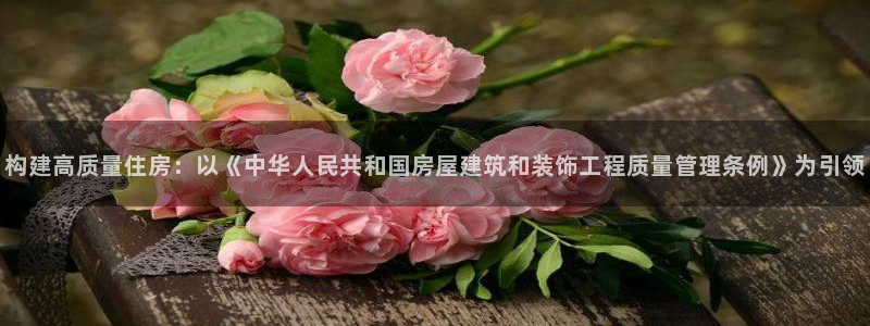 先锋娱乐系统：构建高质量住房：以《中华人民共和国房屋建筑和装饰工程质量管理条例》为引领