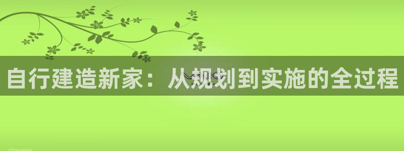 先锋娱乐入口：自行建造新家：从规划到实施的全过程