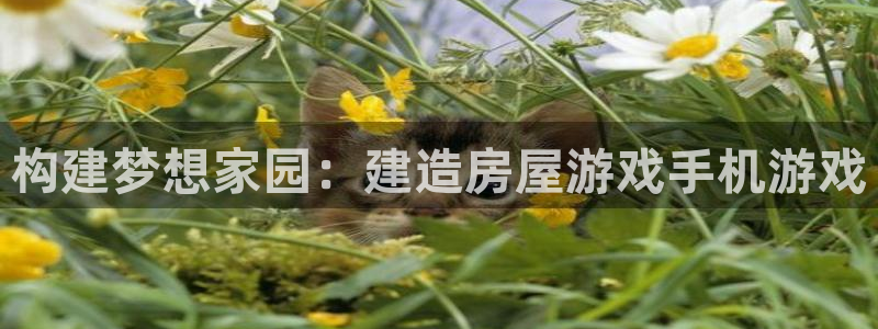 先锋娱乐资讯：构建梦想家园：建造房屋游戏手机游戏