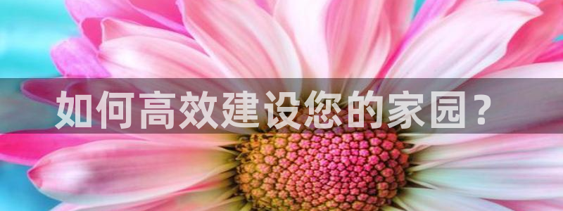 先锋互动娱乐：如何高效建设您的家园？