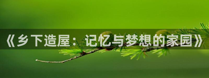 先锋娱乐提现多久到账：《乡下造屋：记忆与梦想的家园》