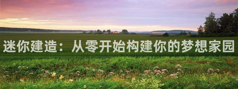 先锋娱乐上分：迷你建造：从零开始构建你的梦想家园