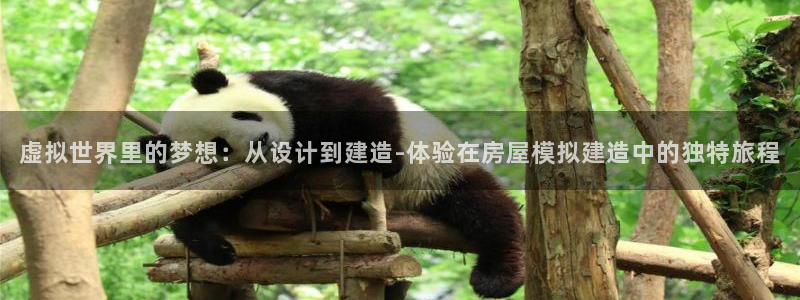 时代先锋娱乐：虚拟世界里的梦想：从设计到建造-体验在房屋模拟建造中的独特旅程