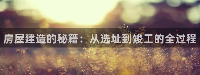 先锋娱乐汇：房屋建造的秘籍：从选址到竣工的全过程