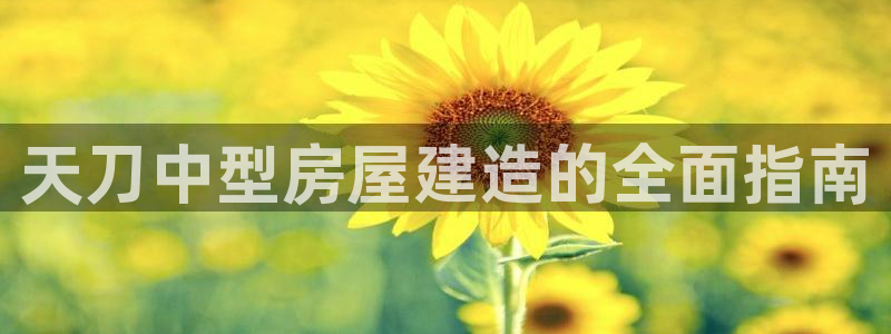 先锋娱乐公司正规吗吗：天刀中型房屋建造的全面指南