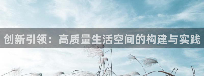 先锋娱乐挂：创新引领：高质量生活空间的构建与实践