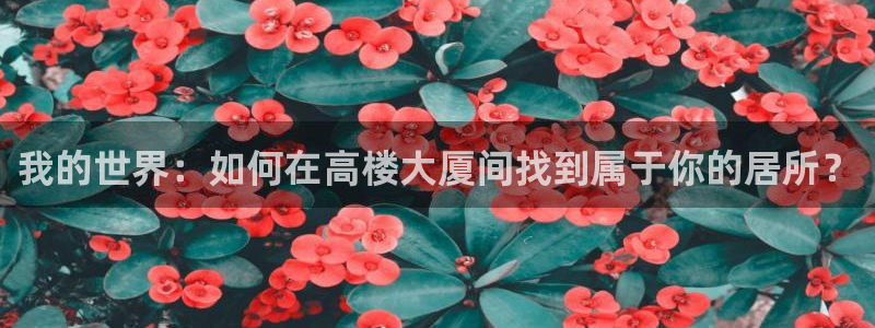 先锋娱乐大厅首页：我的世界：如何在高楼大厦间找到属于你的居所？