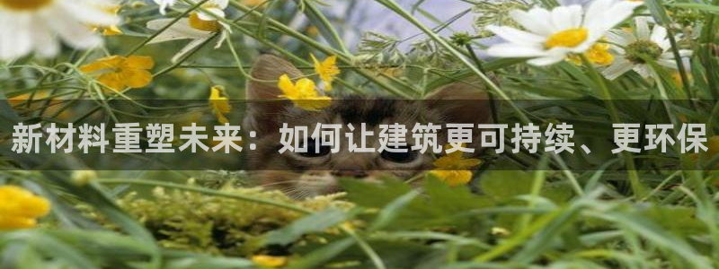 娱乐急先锋全集下载：新材料重塑未来：如何让建筑更可持续、更环保