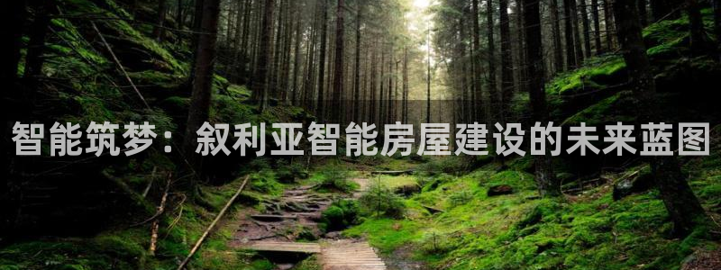先锋娱乐情报：智能筑梦：叙利亚智能房屋建设的未来蓝图