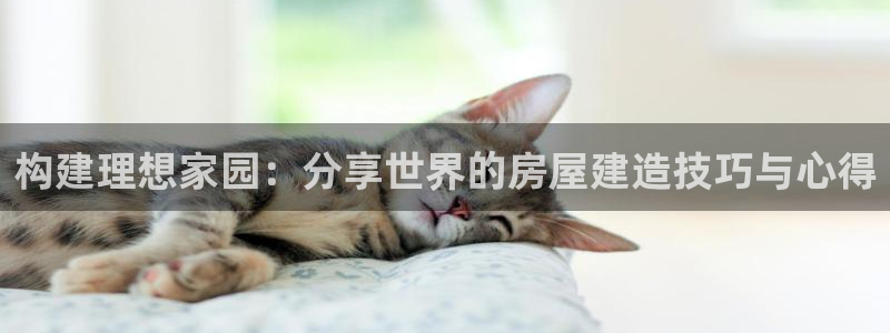 先锋娱乐邀请码多少：构建理想家园：分享世界的房屋建造技巧与心得