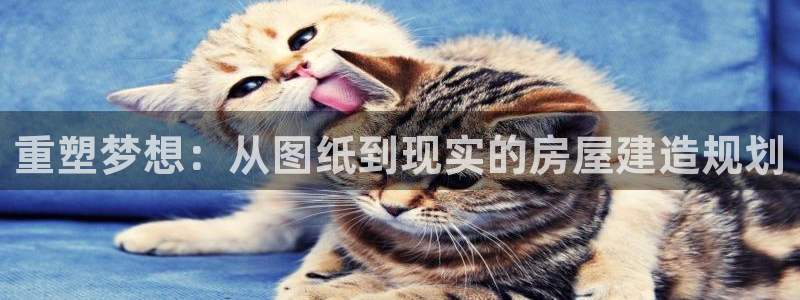 先锋娱乐大厅平台