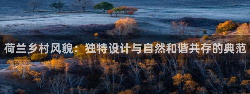 先锋娱乐注册：荷兰乡村风貌：独特设计与自然和谐共存的典范