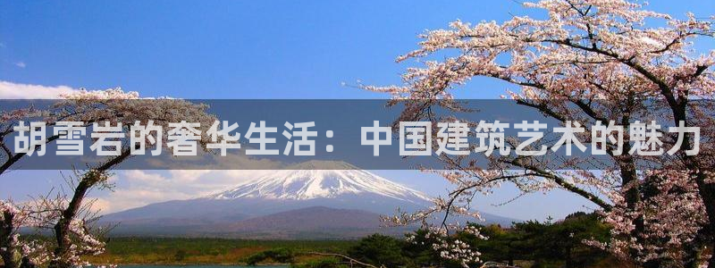 先锋娱乐情报：胡雪岩的奢华生活：中国建筑艺术的魅力