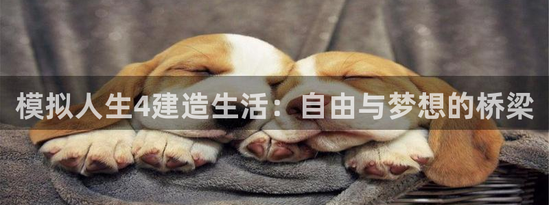 先锋娱乐游戏大厅下载：模拟人生4建造生活：自由与梦想的桥梁