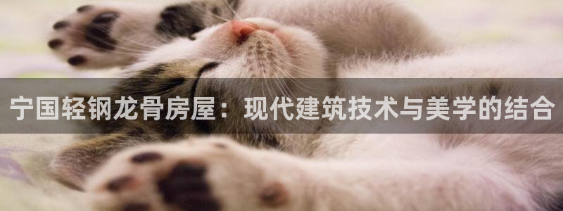 先锋银河娱乐：宁国轻钢龙骨房屋：现代建筑技术与美学的结合
