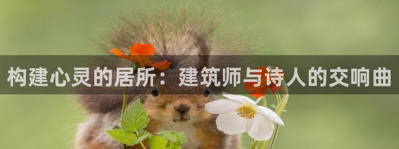 先锋电玩娱乐：构建心灵的居所：建筑师与诗人的交响曲