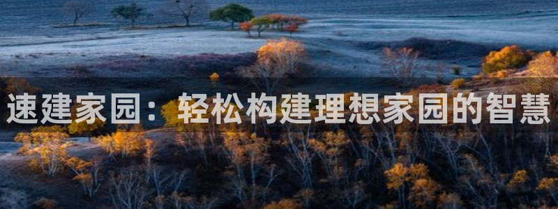 先锋娱乐游戏上分地址：速建家园：轻松构建理想家园的智慧