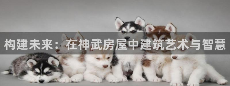 先锋方舟娱乐集团：构建未来：在神武房屋中建筑艺术与智慧