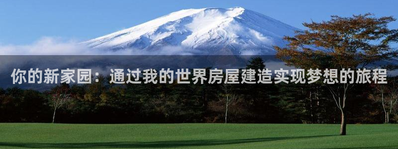 先锋互动娱乐：你的新家园：通过我的世界房屋建造实现梦想的旅程