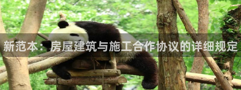 先锋娱乐情报：新范本：房屋建筑与施工合作协议的详细规定