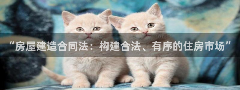 先锋娱乐汇：“房屋建造合同法：构建合法、有序的住房市场”