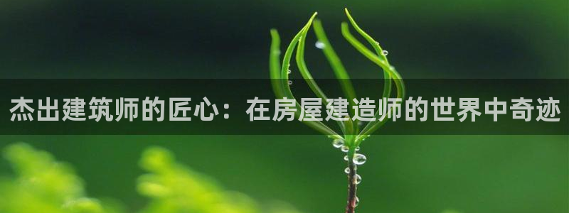 先锋娱乐资讯官网入口：杰出建筑师的匠心：在房屋建造师的世界中奇迹