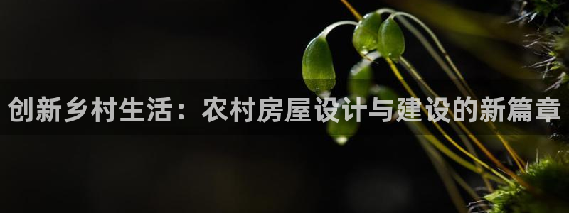 先锋娱乐会所地址：创新乡村生活：农村房屋设计与建设的新篇章