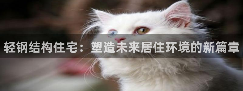 先锋娱乐简介图片：轻钢结构住宅：塑造未来居住环境的新篇章