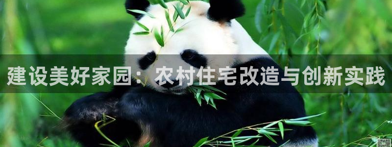 先锋娱乐大厅首页：建设美好家园：农村住宅改造与创新实践