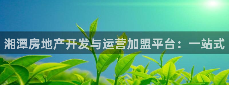先锋娱乐资讯官网入口：湘潭房地产开发与运营加盟平台：一站式