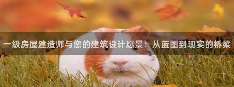 威斯汀娱乐先锋：一级房屋建造师与您的建筑设计愿景：从蓝图到现实的桥梁