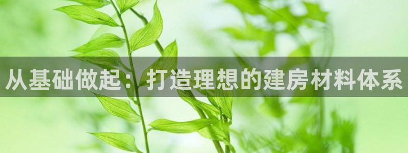 先锋娱乐官网：从基础做起：打造理想的建房材料体系