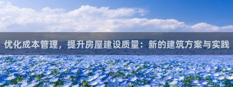 先锋娱乐场所：优化成本管理，提升房屋建设质量：新的建筑方案与实践