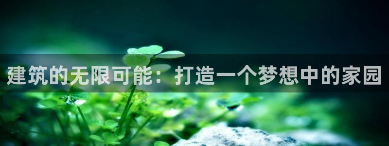先锋电子旗下先锋娱乐：建筑的无限可能：打造一个梦想中的家园